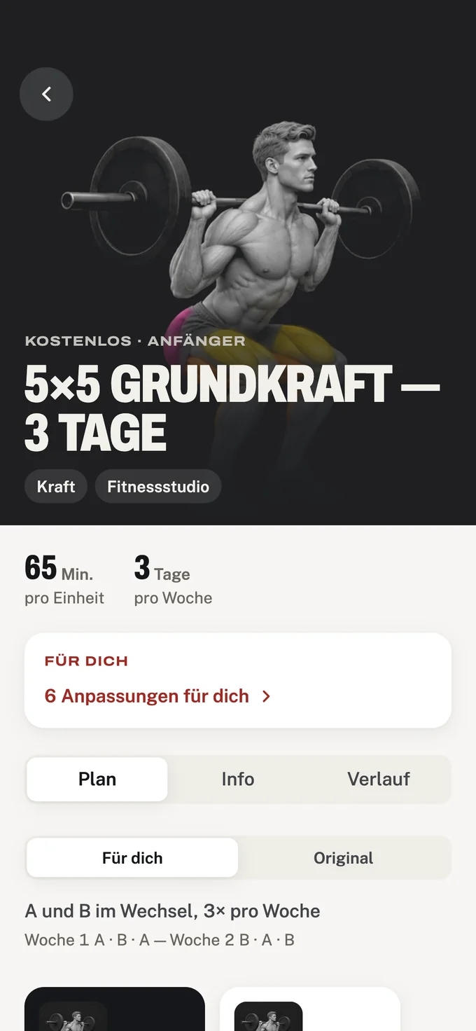 Eine Programmseite: Level, Tage pro Woche, Dauer einer Einheit und der Plan